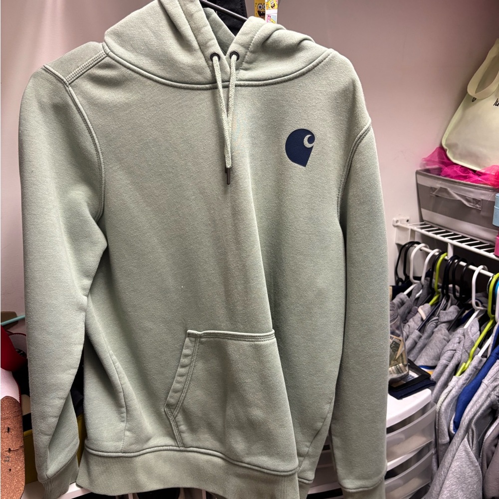 Carhartt Men's Sage Hoodie